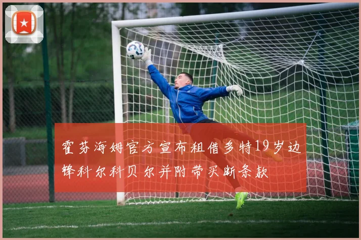 霍芬海姆官方宣布租借多特19岁边锋科尔科贝尔并附带买断条款