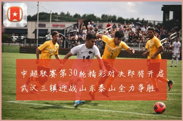 中超联赛第30轮精彩对决即将开启武汉三镇迎战山东泰山全力争胜