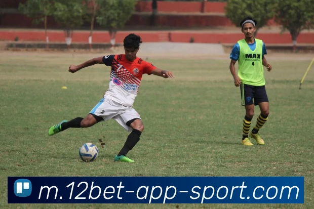 12bet平台生态图