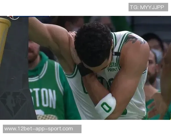 史蒂文斯谈塔图姆康复进展仍需努力才能复出